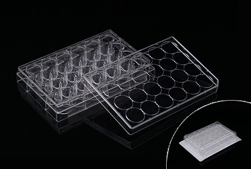 24 Well Cell Culture Plate, Flat, Non-Treated, sterile 1 per pack, 50 per case