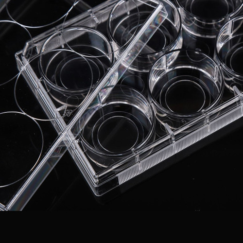 6 Well Glass Bottom Cell Culture Plate, 20mm,TC, sterile 1 per pack, case/10 6 Well Glass Bottom Cell Culture Plate, 20mm,TC, sterile 1 per pack, case/10