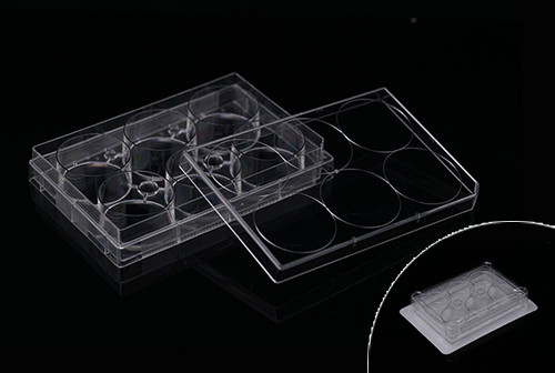 6 Well Low Evap EDGE Plate, Flat Bottom, Non-Treated, Sterile, 50 per case
