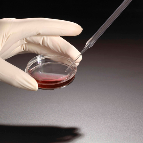 Polystyrene Pasteur Pipette, 5.75 Inch Length, Individually Wrapped, Sterile, 50 per Bag, case/200