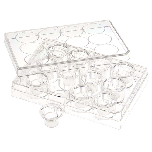 Permeable Cell Culture Inserts, in 12-Well Plate, Hanging, PC, 0.1um, Sterile, 12 Inserts per Plate, 2 Plates per Case, case/24
