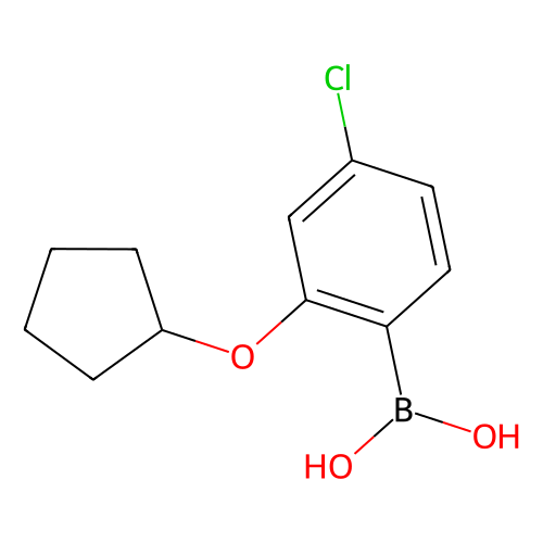 4-Chloro-2-(cyclopentyloxy)phenylboronic acid, min 95%, 1 gram