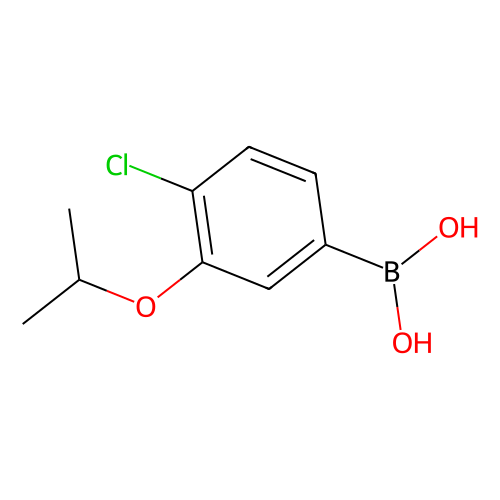 4-Chloro-3-isopropoxyphenylboronic acid, min 98%, 10 grams