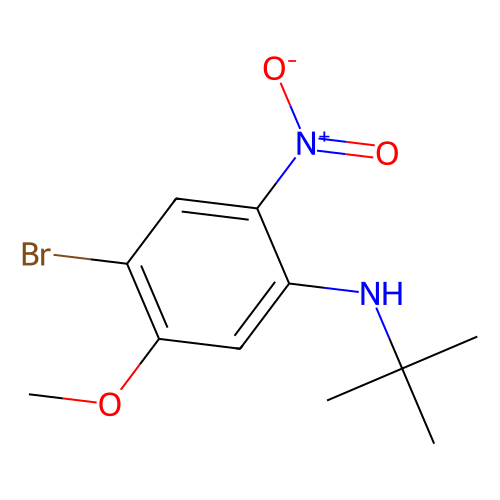 2-Bromo-5-t-butylamino-4-nitroanisole, min 98%, 100 grams