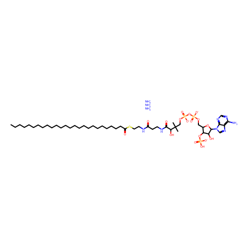 hexacosanoyl Coenzyme A (ammonium salt), min 99%, 100 mg
