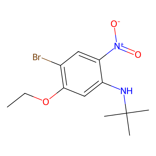 4-Bromo-N-tert-butyl-5-ethoxy-2-nitroaniline, min 98%, 25 grams