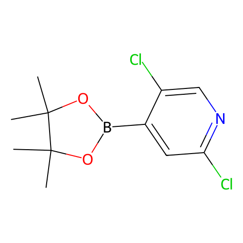 2, 5-Dichloropyridine-4-boronic acid pinacol ester, 250 mg
