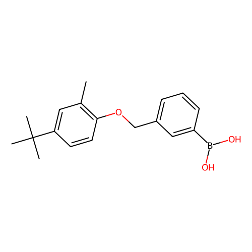 3-[(4'-tert-Butyl-2'-methylphenoxy)methyl]phenylboronic acid, 10 grams