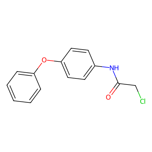 2-CHLORO-N-(4-PHENOXYPHENYL)ACETAMIDE, 50 mg