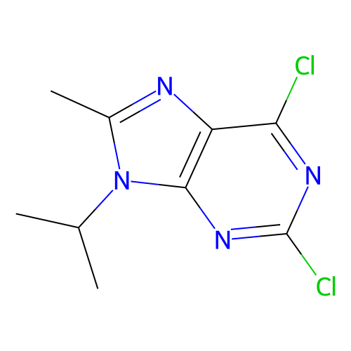 2, 6-dichloro-8-methyl-9-(propan-2-yl)-9H-purine, min 97%, 1 gram