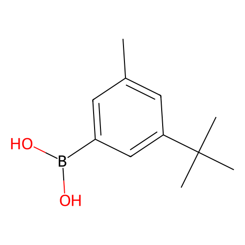 3-t-Butyl-5-methylphenylboronic acid, min 98%, 1 gram