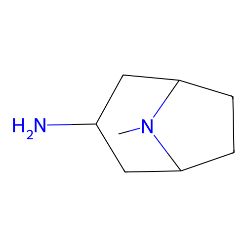 endo-8-methyl-8-azabicyclo[3.2.1]octan-3-amine, min 97%, 1 gram