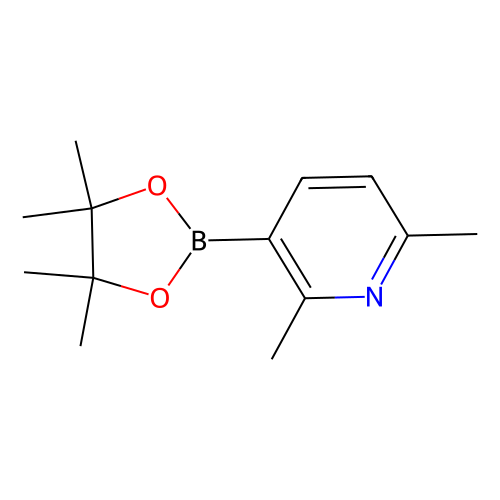 2, 6-Dimethyl-3-(4, 4, 5, 5-tetramethyl-1, 3, 2-dioxaborolan-2-yl)pyridine, min 95%, 100 mg