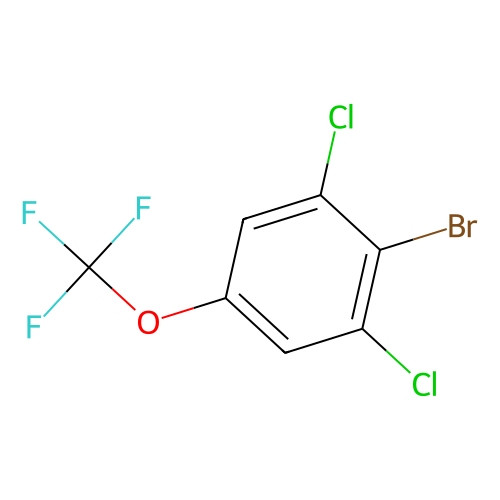 Aladdin Scientific 2-Bromo-1, 3-dichloro-5-(trifluoromethoxy)benzene, min 97%, 1 gram 