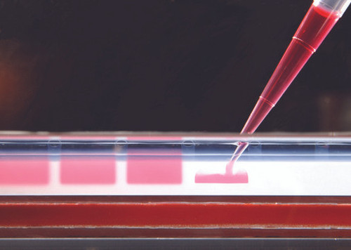 Sigma-Aldrich REDTaq® DNA Polymerase for routine PCR with inert dye, 10X buffer included, 250 units, case/250 