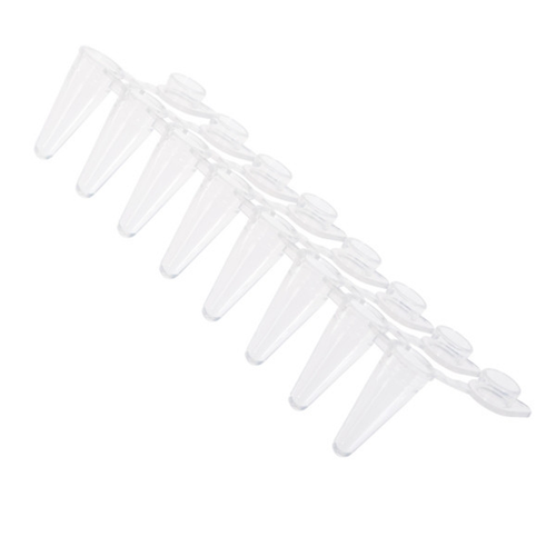 CELLTREAT 230464 PCR 8-Strip Tubes, 0.1 mL, Attached Flat Caps, Clear - High-Precision PCR Consumables, Case/120