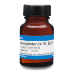 Research Antibiotics, Amphotericin B, USP, 500 mg