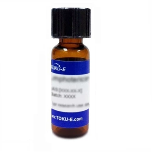 Research Antibiotics, Ceftazidime Pentahydrate, 1 gram