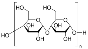 Starch Potato Hydrolyzed For Electrophoresis 5 kg
