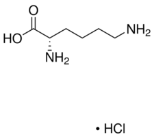 L-Lysine Monohydrochloride from Non-animal Source Meets EP JP 98.5-101.0% 25 kg