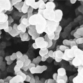 Supor 450 Membrane Disc Filters, Plain, Diameter 50 mm, Pore Size 0.45 um, Pack of 100