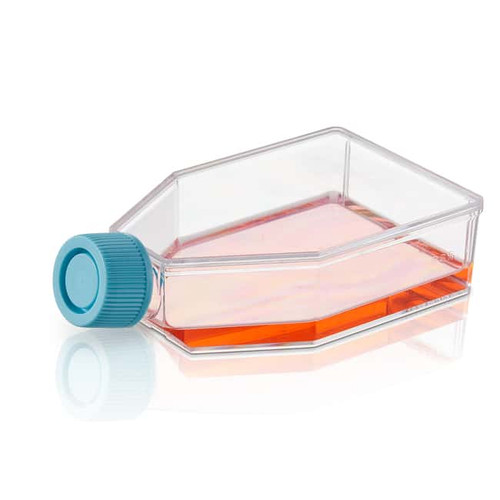 Nalgene™ Single-Use PETG Erlenmeyer Flasks with Plain Bottom: Sterile