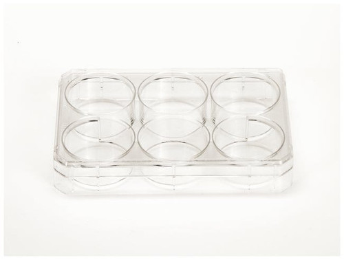Nalgene® 150466 Nunc EasYDish Cell Culture Dish, Polystyrene, 100