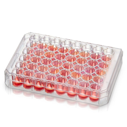 Nalgene® 167064 8-Well Rectangular Plate, Nunclon Delta Surface