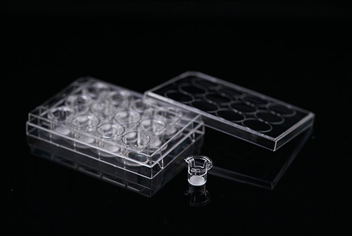 Nalgene® 96-Well Bottom Plate, TC Surface, Cell Culture, Sterile