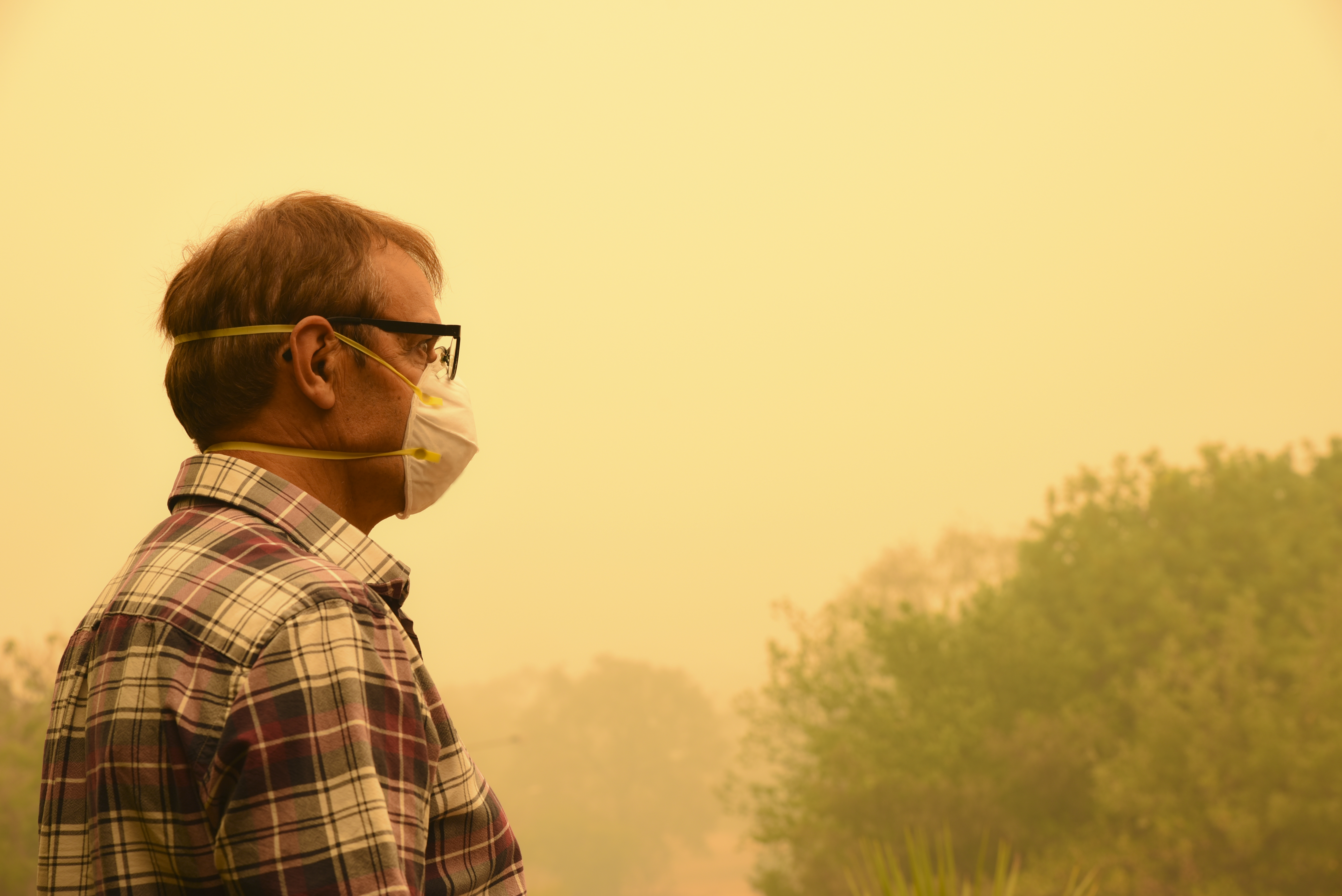Wildfire Safety: How to Limit Exposure to Smoke and Clean up Ash