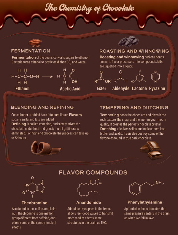 chemistry-of-chocolate-infographic.jpg