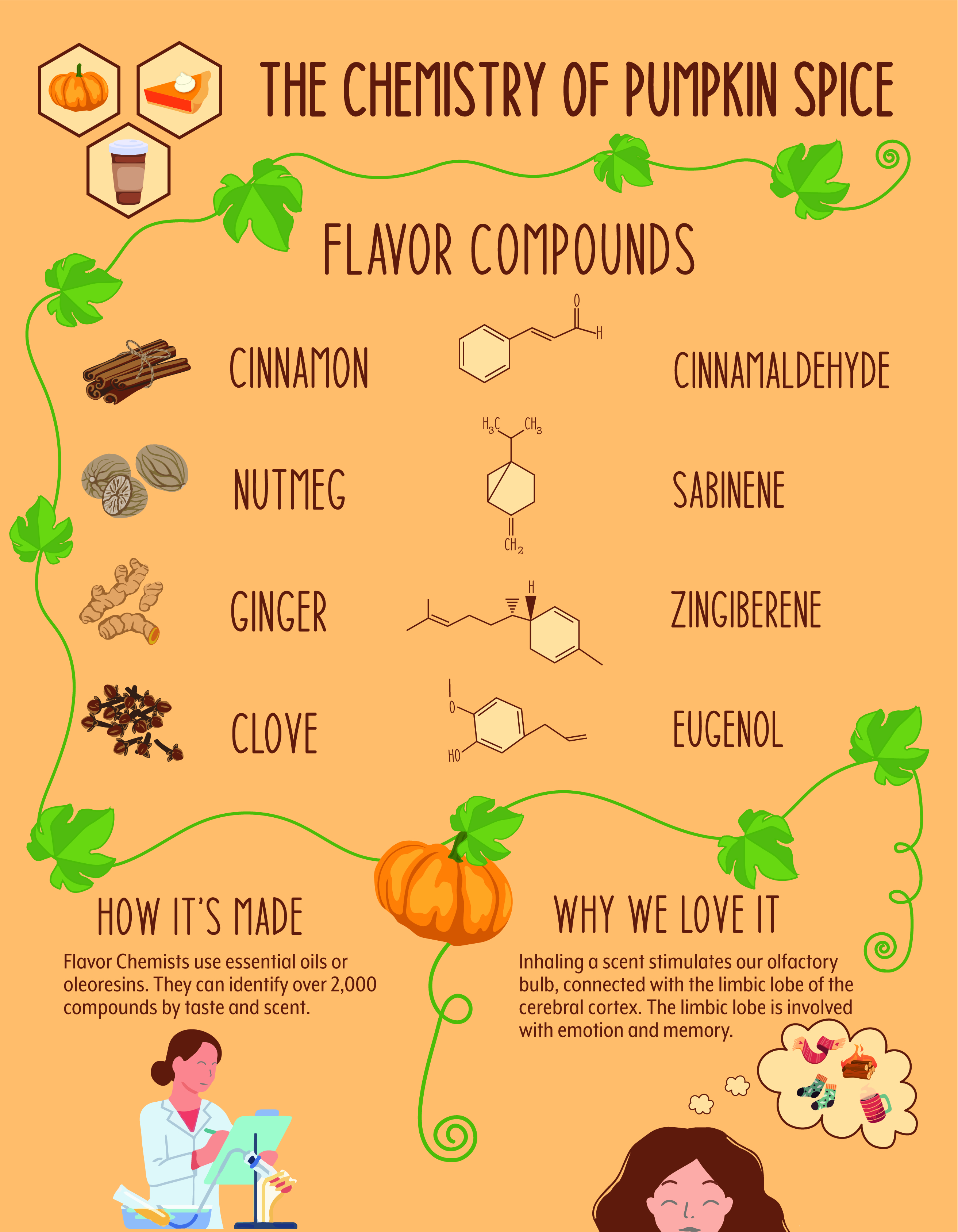 chemistry-of-pumpkin-spice-infographic2.jpg