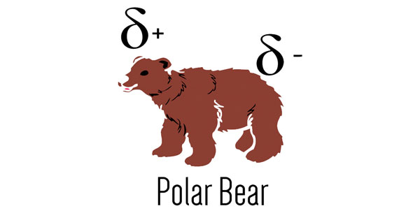 facebook-timeline-polar-bear-sj.jpg