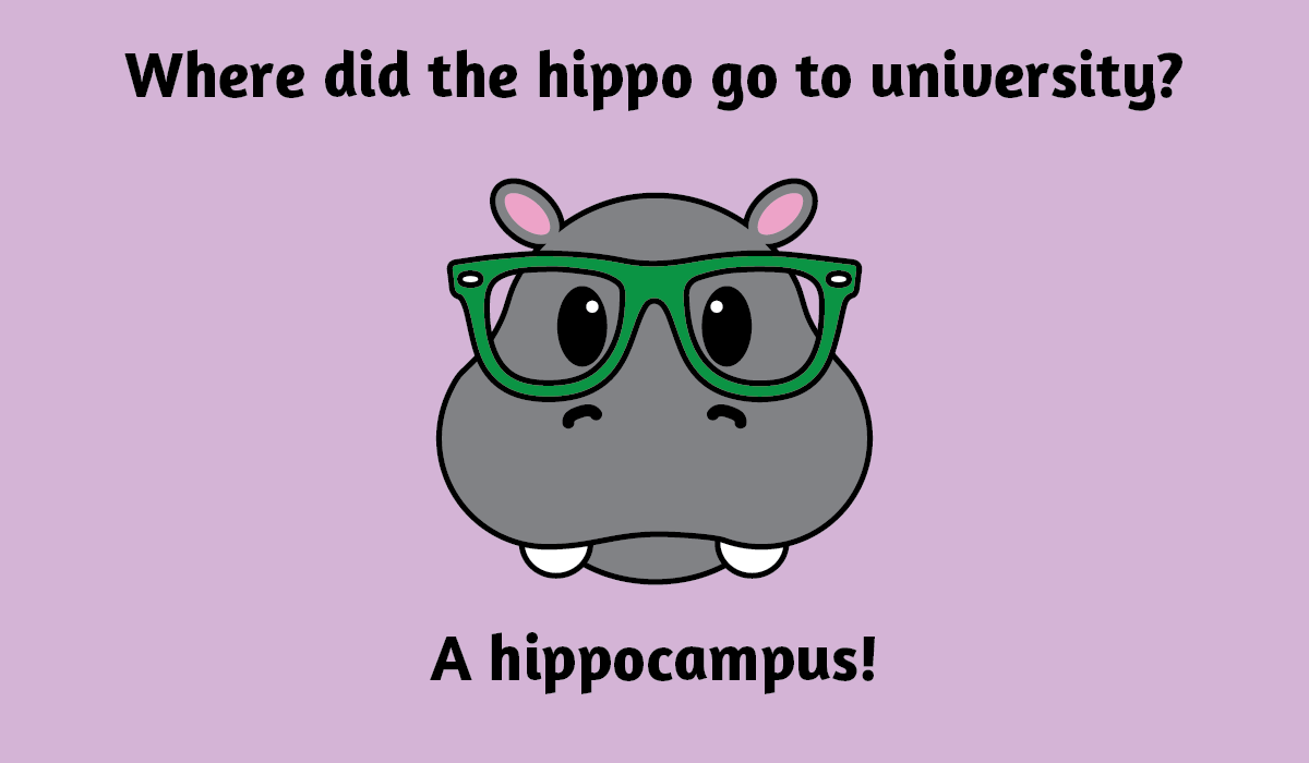 hippocampus-science-joke-01.png