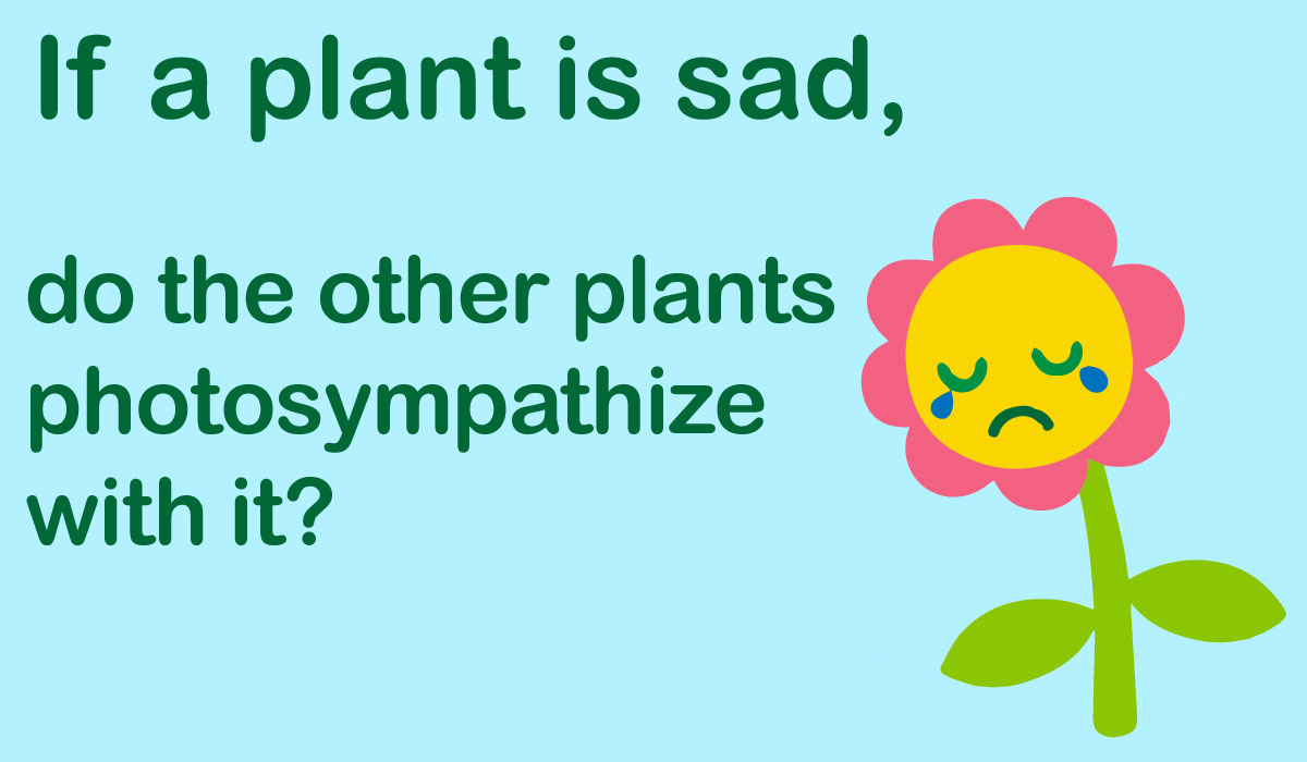 sad-plant-joke.jpg