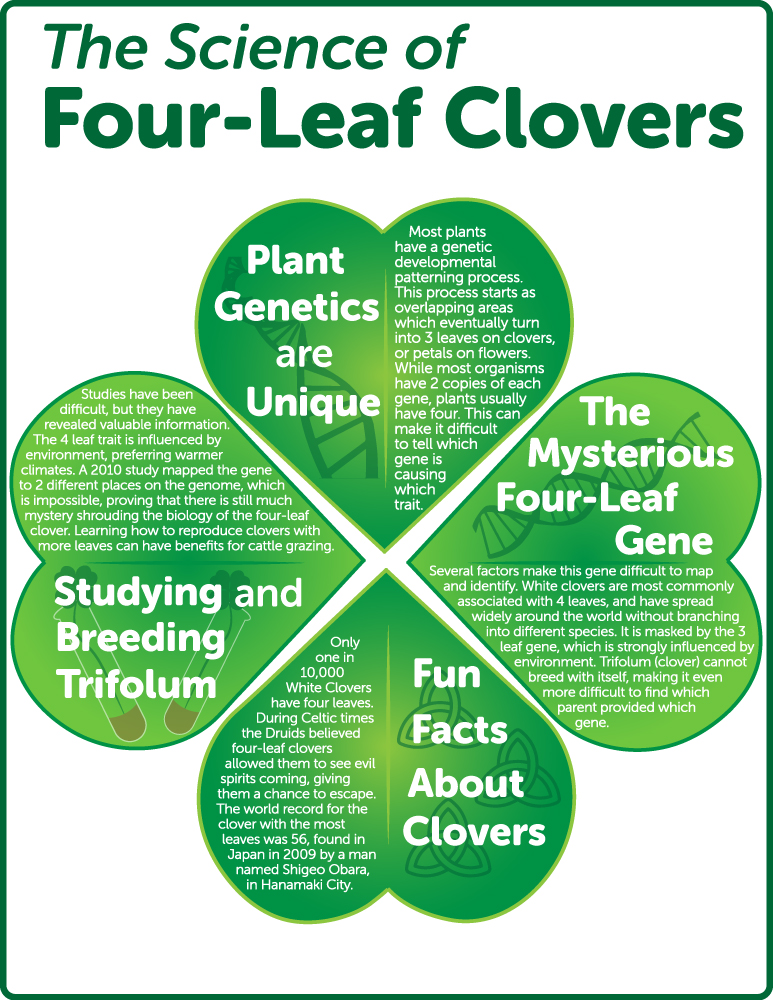 Facts about Four-leaf Clovers