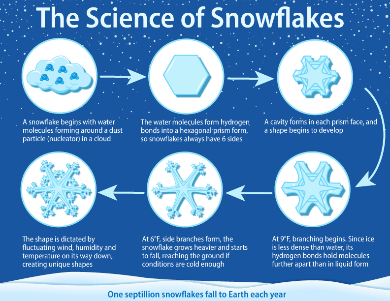 snowflake-infographic.jpg