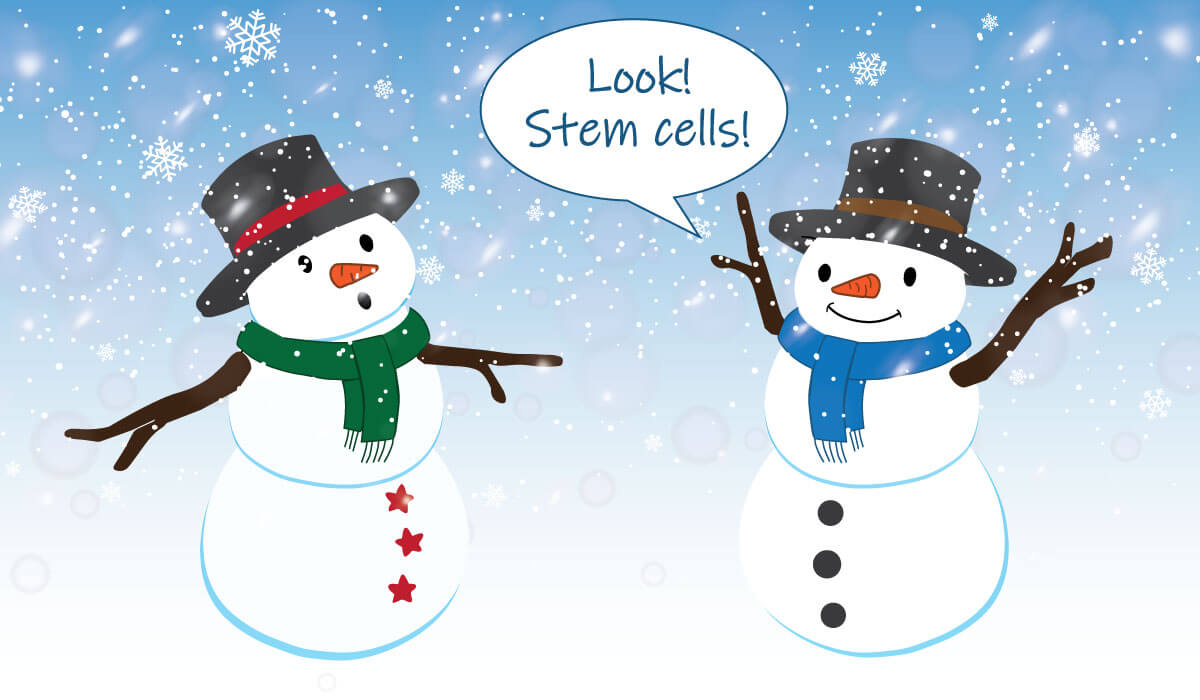 stem-cell-snowflakes-joke.jpg