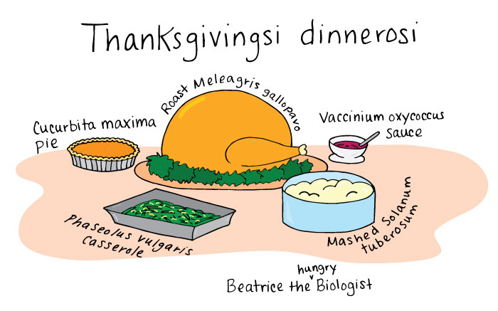 thanksgivingspecies.jpg