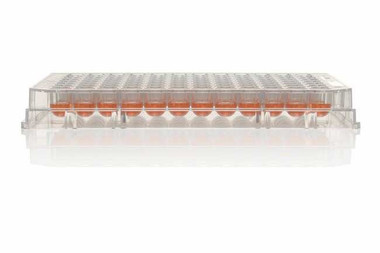 Nalgene® 174929 96-Well Microplate, Ion Sphera-Treated, U