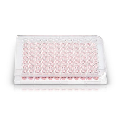 ⚠️LP BioLite™ Microwell Plates 12 | Buy Online | Thermo