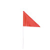 EV Rider, Safety Flag