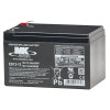 EV Rider - 2 Batteries for Transp. SLA Models - 12 Ah SLA - MK12-12