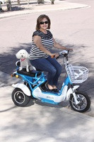 The EW-27 in Blue is out of stock