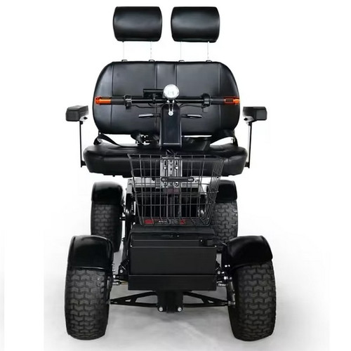 Green Transporter - Cheeta Ninja Golf Cart  with double seat from front