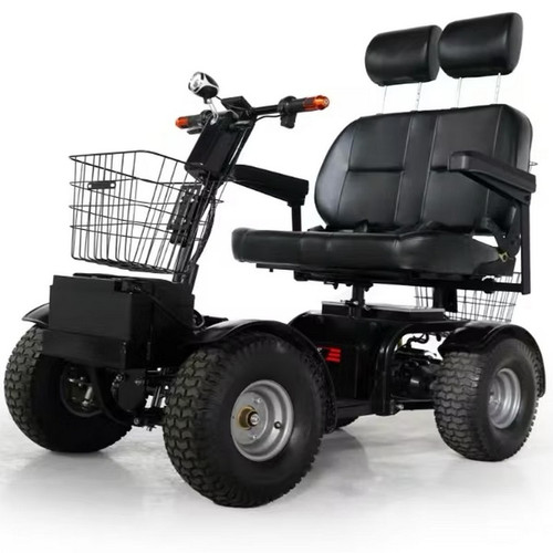 Green Transporter - Cheeta Ninja Golf Cart  with double seat