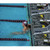 Spectrum Aquatics - Xcellerator Starting Block - Dual Post - No Anchor - 133171 - Spectrum Aquatics' platforms comply with World Aquatics, USA Swimming, NCAA and NFHS regulations (excluding the Quicksilver)