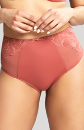 Panache Rocha Deep Brief - Garnet Rose