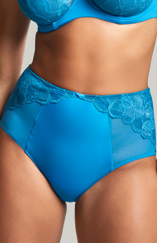 Panache Rocha Briefs Semi Sheer Mid Rise Lined Knickers Lace Brief Lingerie  Stone Blue, Stone Blue, Large : : Clothing, Shoes & Accessories