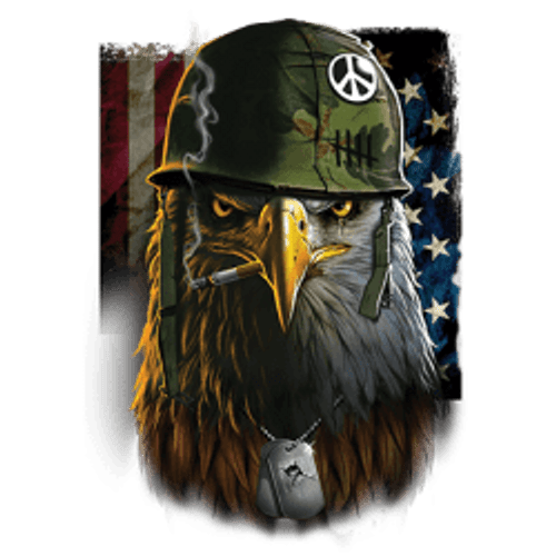 Adult DryBlend® T-Shirt - EAGLE SOLDIER  - SECOND 2nd AMENDMENT  AMERICAN PRIDE